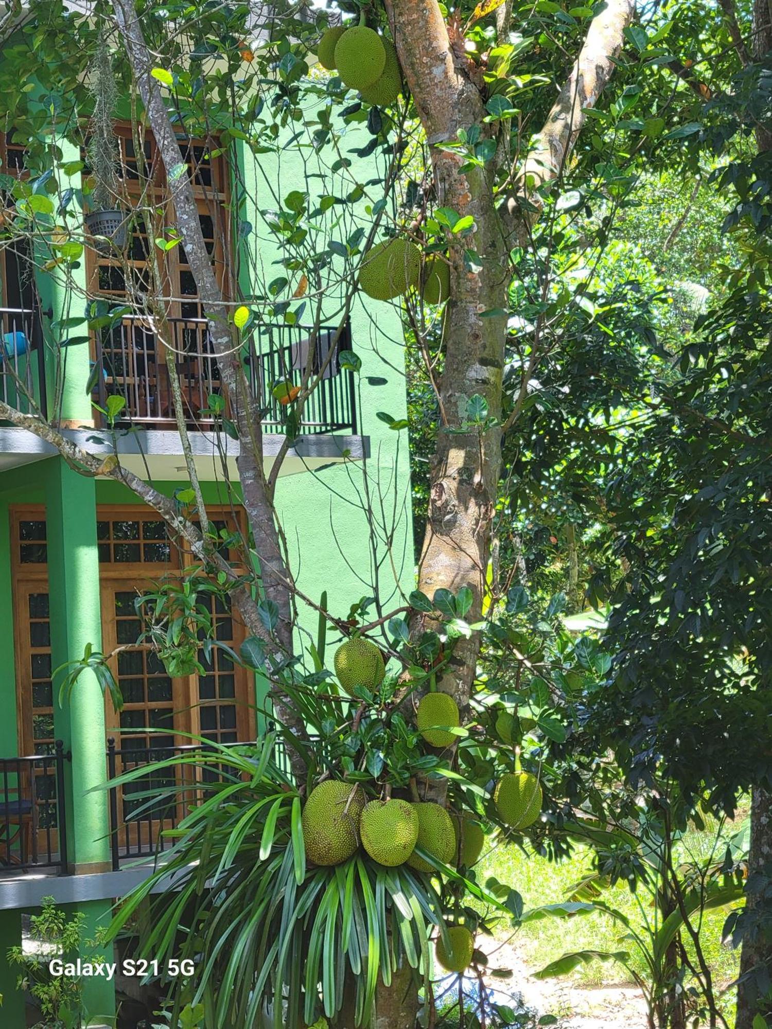 Barefoot Bungalow Hikka Hikkaduwa Exterior foto